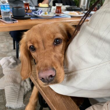 nils-artisan-bakery (8)